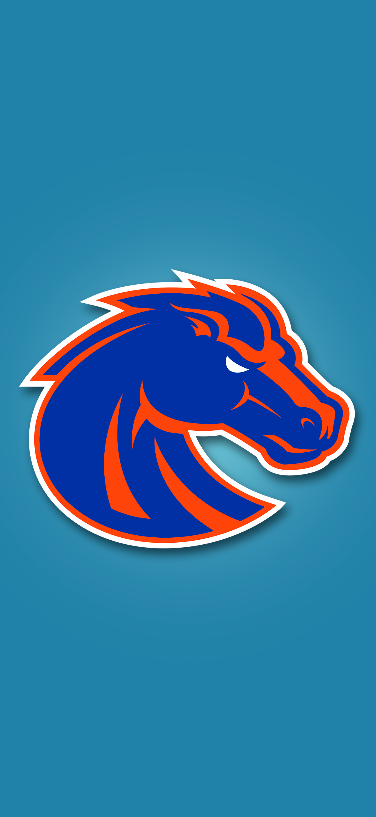 Boise State Wallpapers  Top Free Boise State Backgrounds  WallpaperAccess