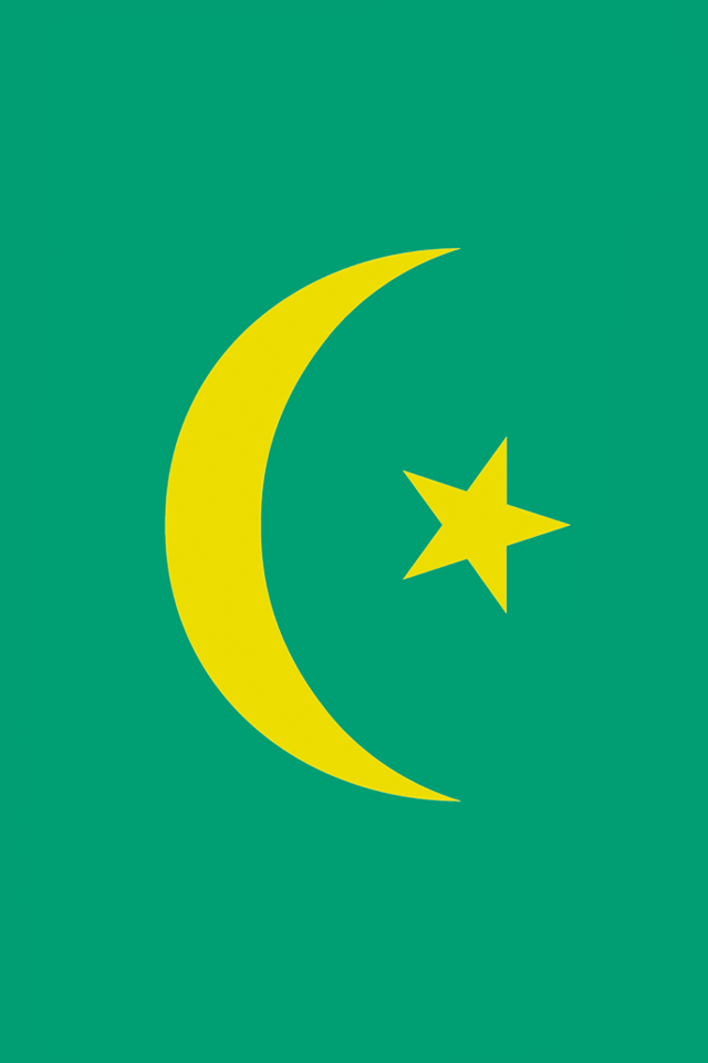 Форма флага мавритании. Флаг Мавритании 2023. Флаг Мавритании. Мусульманский флаг. Флаг Исламского государства.