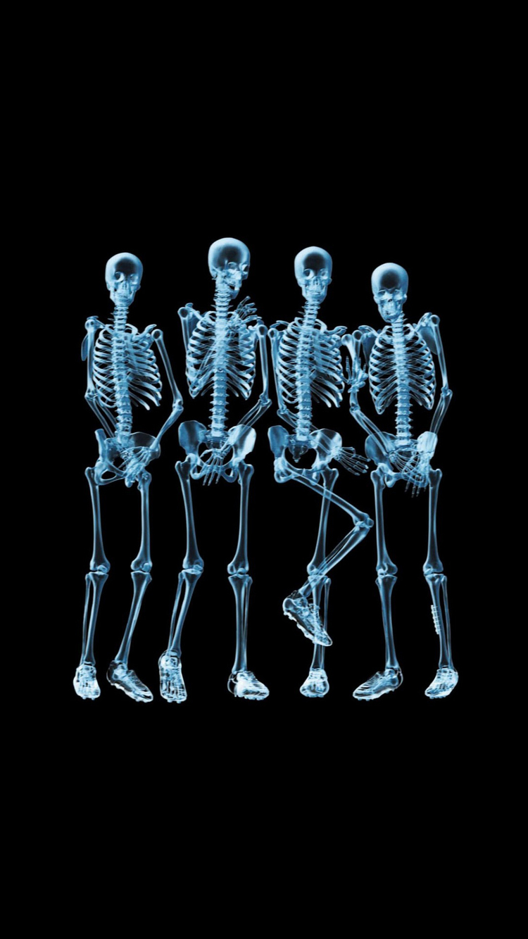 Shy Skeletons iPhone Wallpaper HD